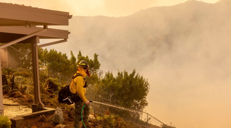 The Los Angeles Fires & What You Can Do to Help