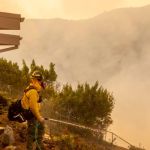 The Los Angeles Fires & What You Can Do to Help