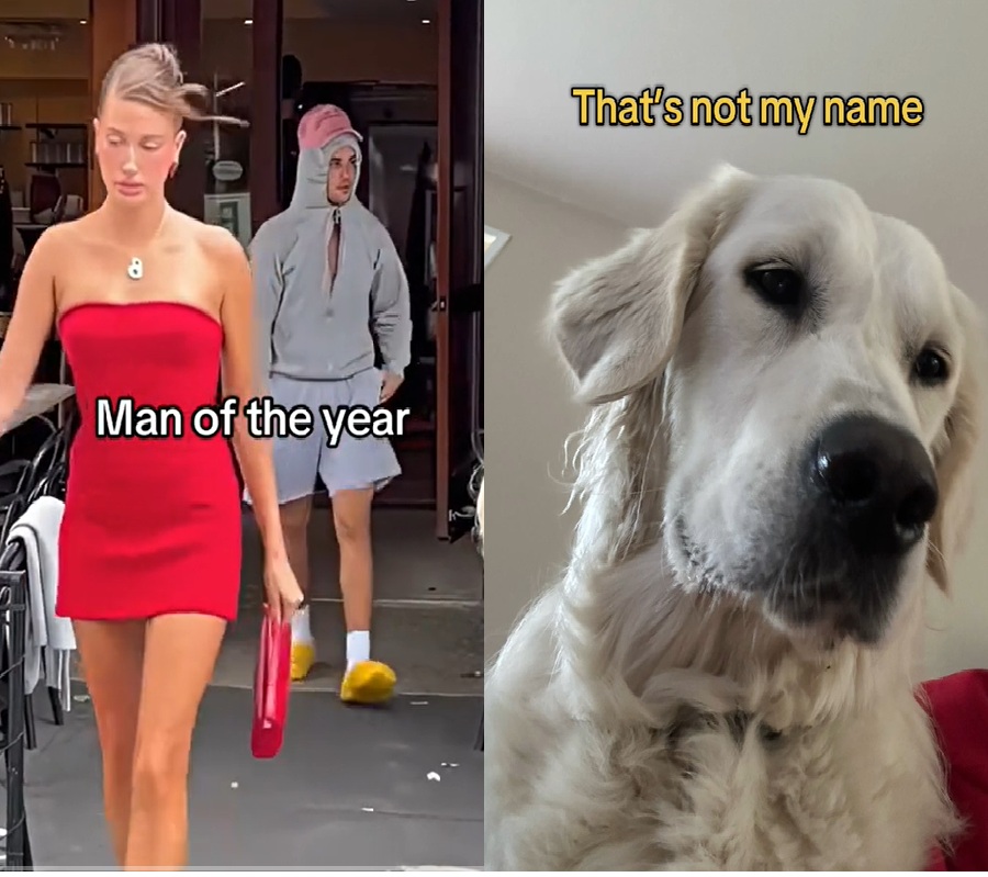 The Top 5 TikTok Trends You Need to Pay Attention To During Your Next Doom-Scroll