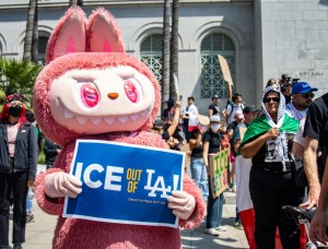 How Creators and Celebrities Are Standing Up Against ICE Raids—and What You Can Actually Do, Too